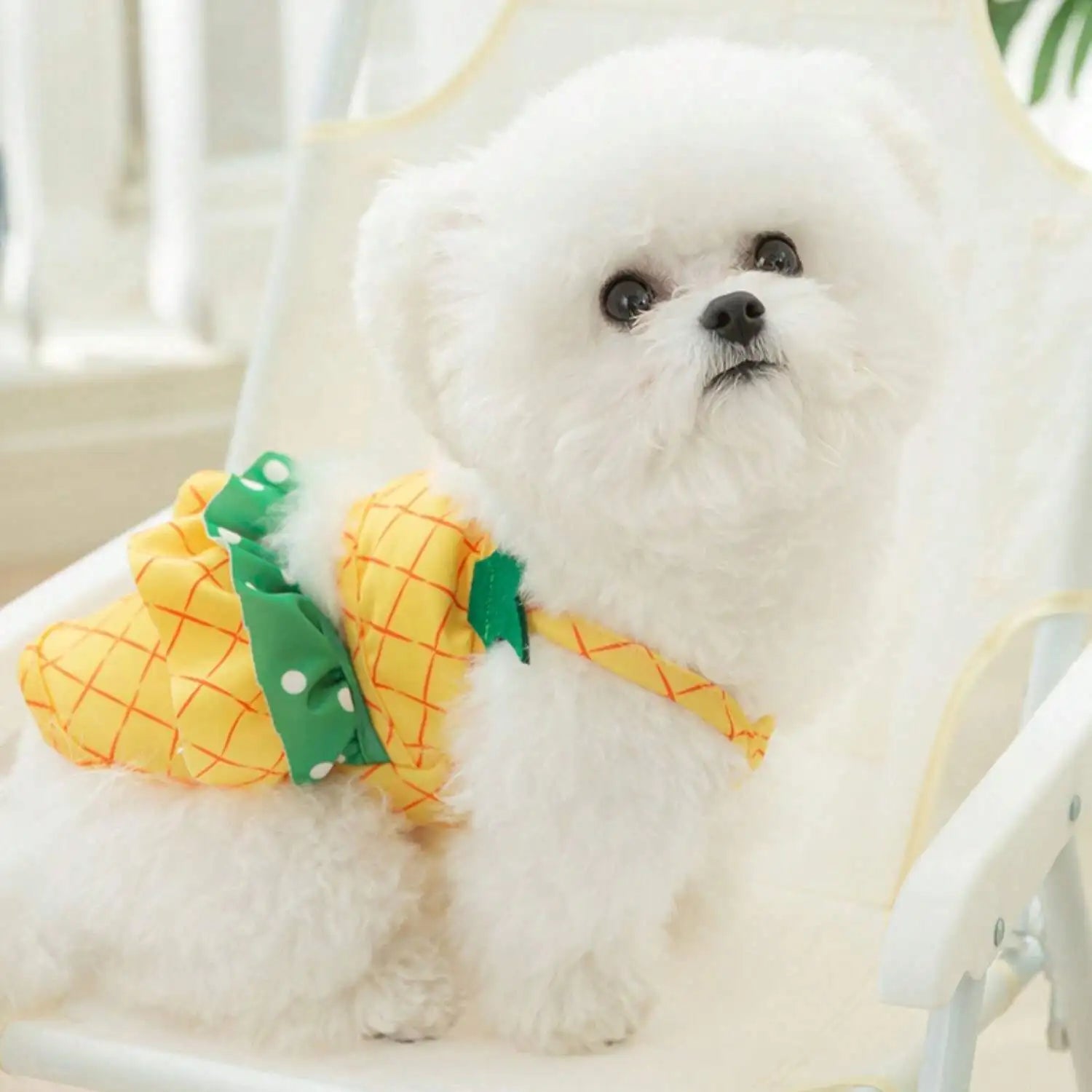 Pineapple Funny Dog Swimwear Bikini Summer Dog Clothes Beach Swimsuit Puppy Bathing Suit Puppy Vest Cooling Dog Shirts Pet Shirt For Small Dog, Cat Apparel
