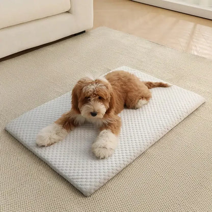 Cooling cat bed with breathable sponge cushion, washable all-season pet nest from I YAN, designed for comfort and cooling.