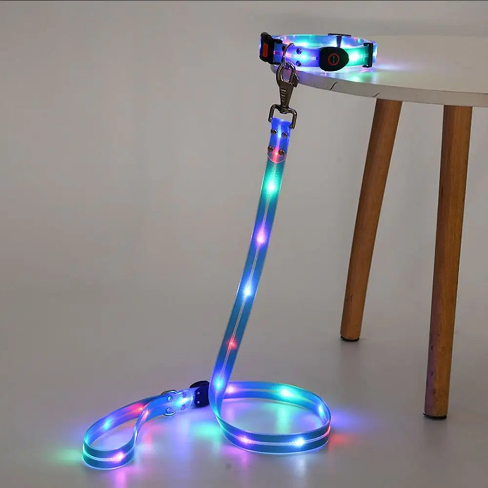 Rechargeable LED dog collar and leash set by I YAN with glow-in-the-dark safety features, visible in the image.