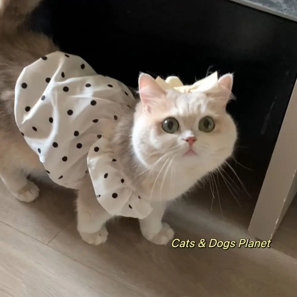 Fashion Dot Pet Dog Dress Sleeveless Summer Clothes Cat Princess Dresses Slim Style Pet Clothes Chihuahua Bichon French Bulldog