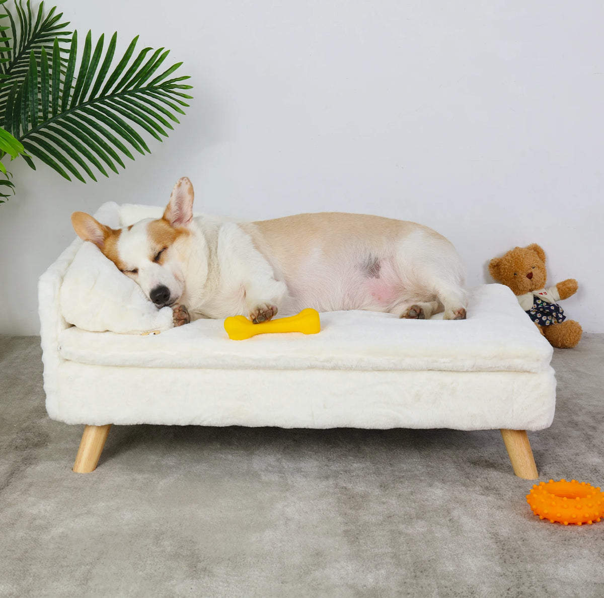 Elevated Nordic pet stool bed with cozy pad, waterproof fabric, sturdy wood legs, suitable for small dogs and kittens.