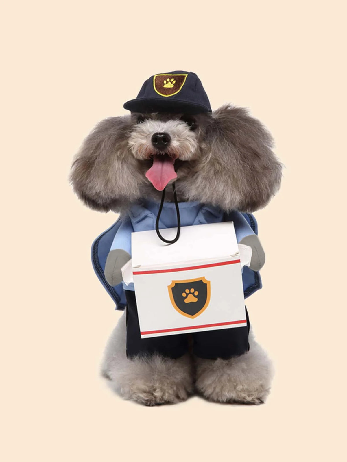 Cute I YAN pet dog transformation costume for small dogs, seasonal universal clothing, fashionable and adorable for seasonal wear.