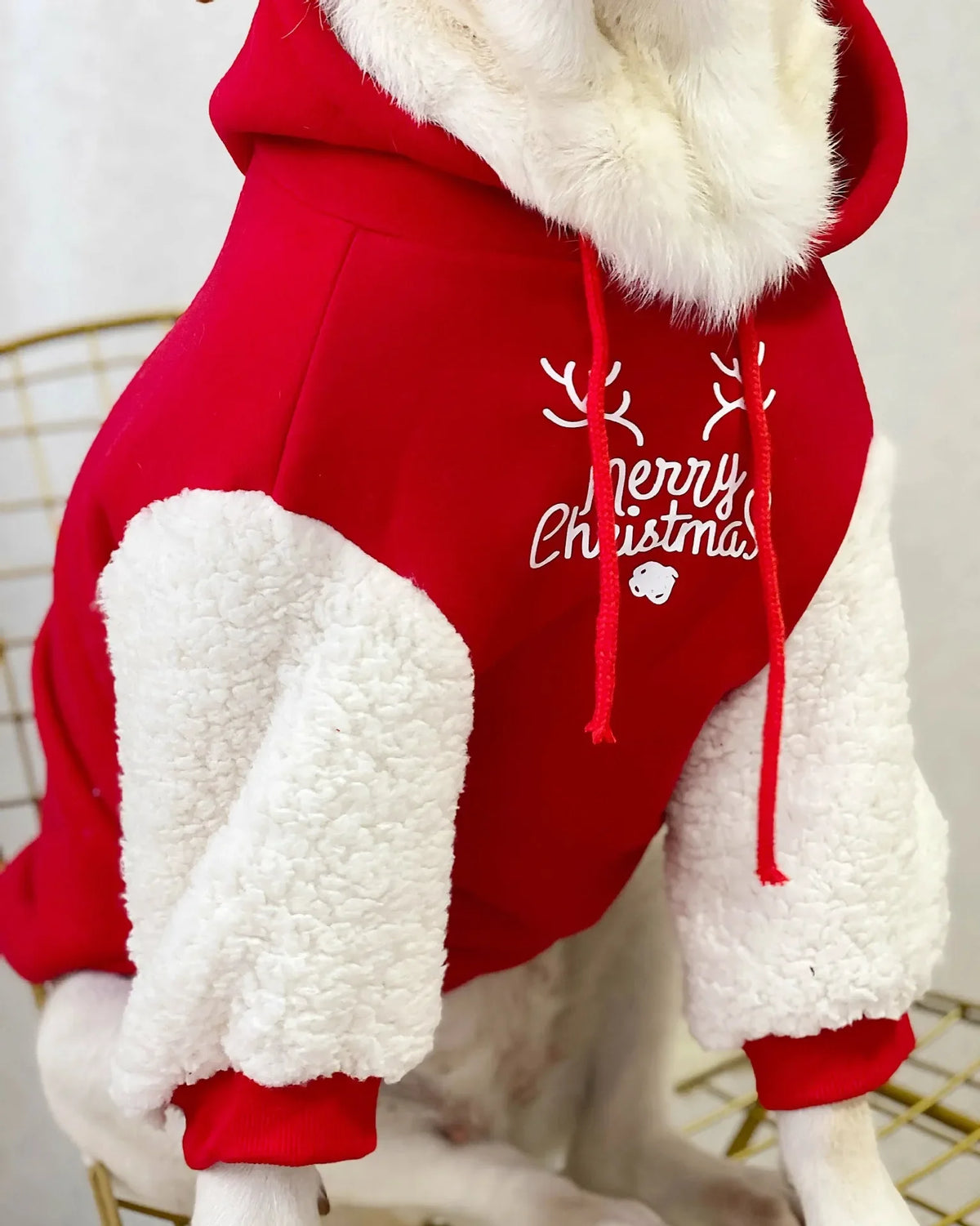 Large Golden Retriever wearing I YAN winter pet dog sweatshirt with warm cotton fleece Christmas fawn design