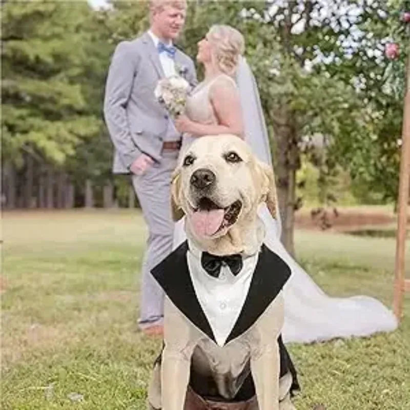 Cotton Large Dog Costume Detachable Two Pieces Dog Wedding Costume Black Dog Clothes Suit Dress Autumn Large Breeds Pet Products