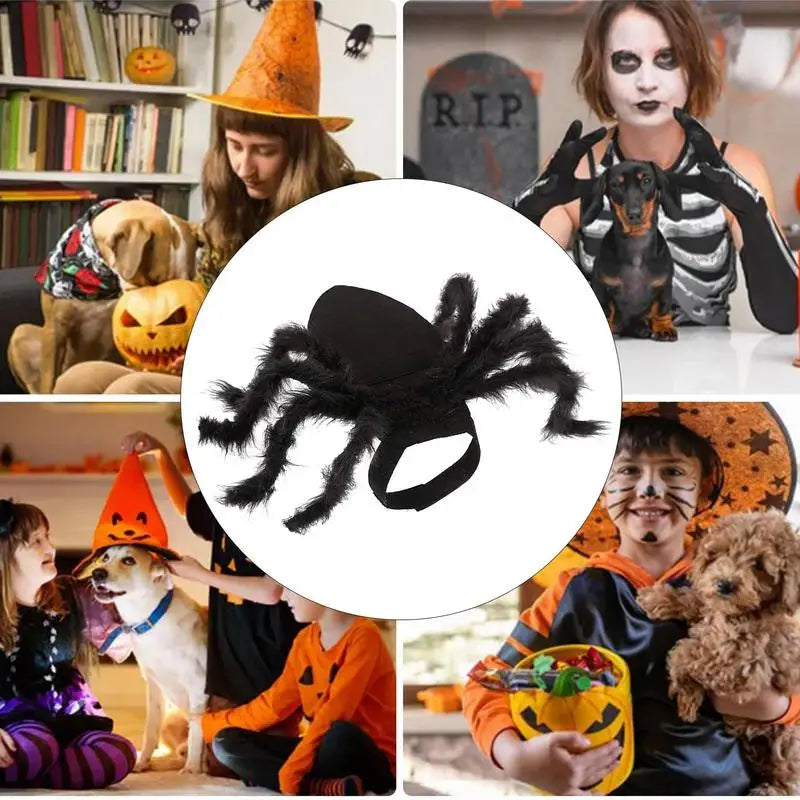 Halloween Spider Costume for Dogs & Cats – Spooky Pet Outfit