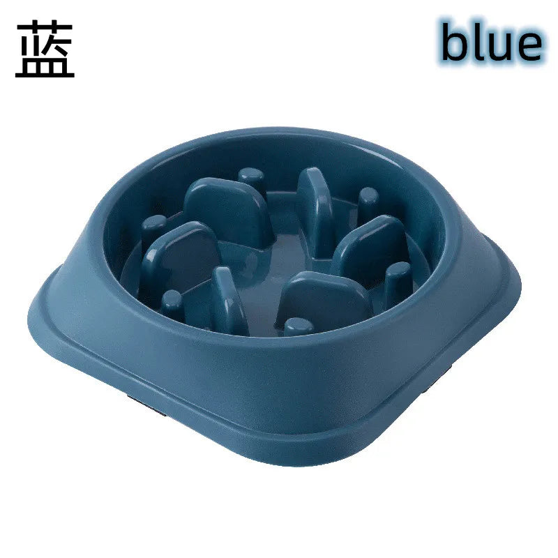 Colorful I YAN pet bowl for cats and dogs, with anti-choking, non-slip, thickened design to promote healthy eating.