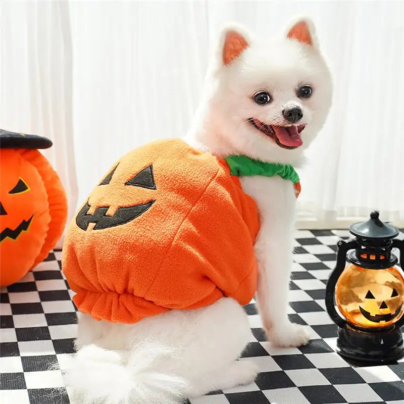 Halloween Dog Costume Pumpkin Light Clothing Teddy Bichon Small Dog Transformation Suit Pet Apparel Functional Winter Wear