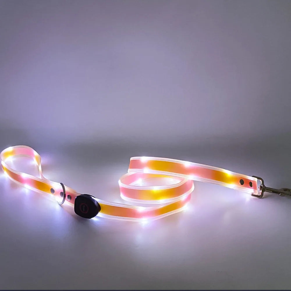 Rechargeable LED dog collar and leash set by I YAN with glow-in-the-dark safety features, visible in a close-up image.