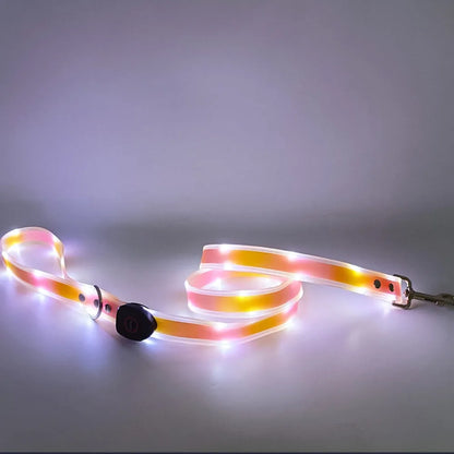 Rechargeable LED dog collar and leash set by I YAN with glow-in-the-dark safety features, visible in a close-up image.