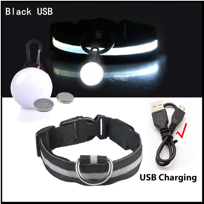 USB rechargeable LED glowing dog collar by I YAN with adjustable strap, night safety light for small dogs and cats.