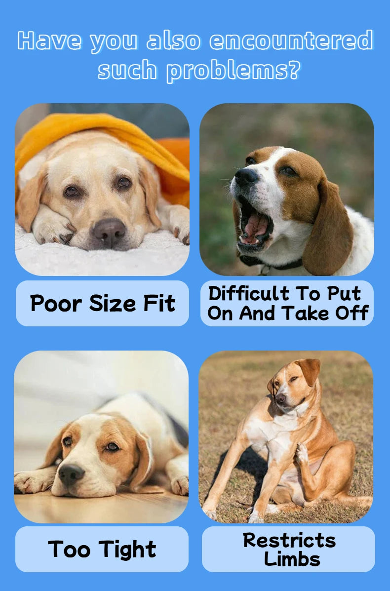 Pet dog transformation costume - Seasonal universal dog clothing - Cute and fashionable - Suitable for small dogs