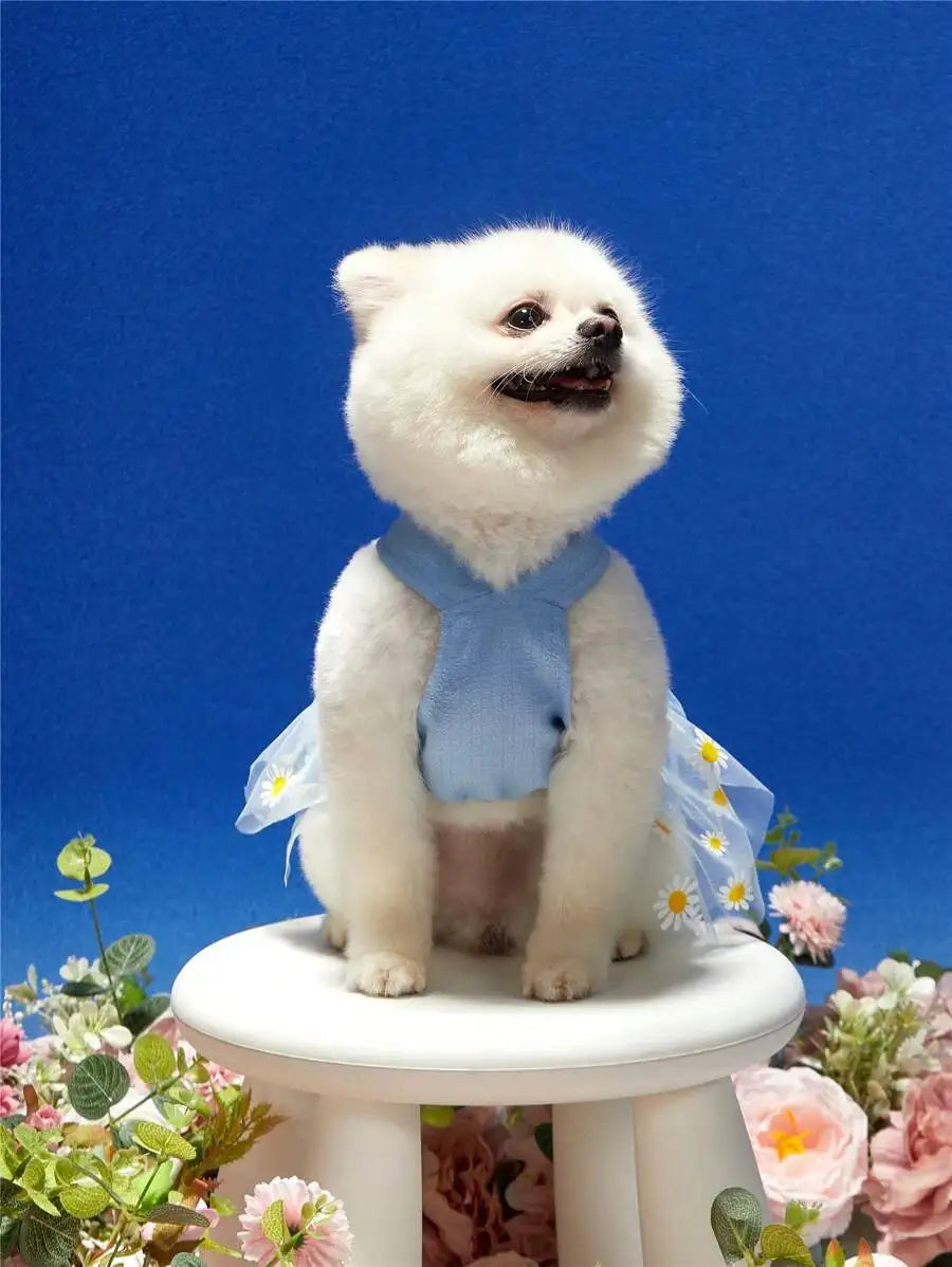 1pc Pink Daisy Tulle Skirt With Bowknot Pet Harness Dress, Suitable For Cats And Dogs
