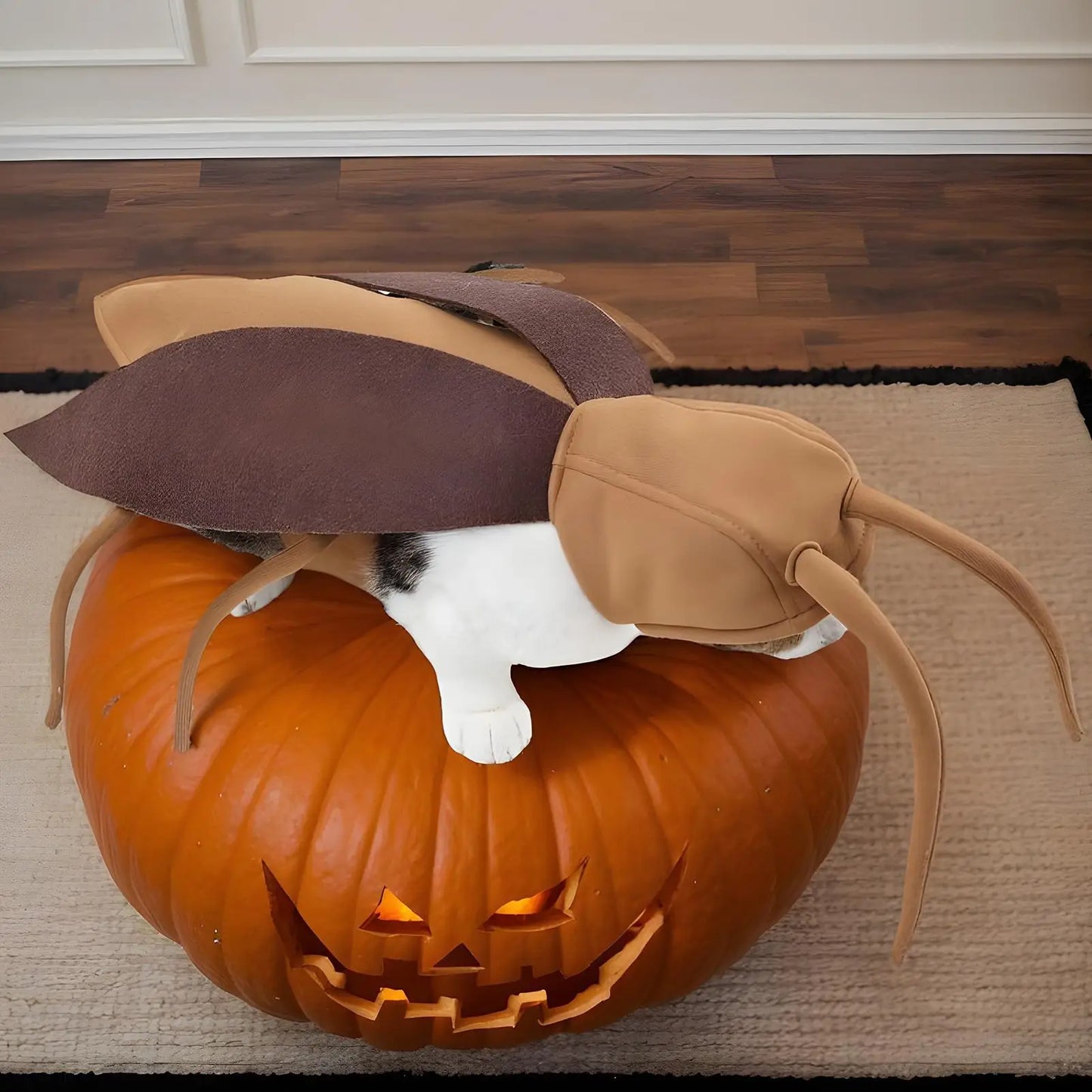 Cat Cockroach Costume Soft Cat Cockroach Clothing Realistic Breathable Clothing Accessories For Cosplay Outfit Kitten Dog