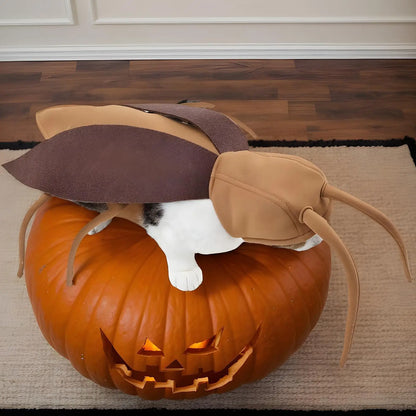 Cat Cockroach Costume Soft Cat Cockroach Clothing Realistic Breathable Clothing Accessories For Cosplay Outfit Kitten Dog