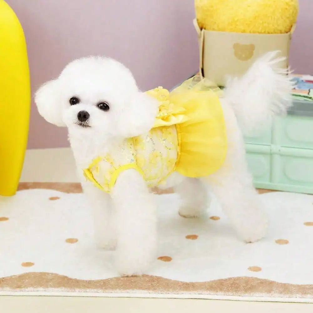 Striped Print Princess Pet Dress Breathable Sunscreen Outfit Spring Summer Collection Universal Skirt For Puppies Cats Small Pets Soft Cool Daily Holiday Cute Pet Costume Gift