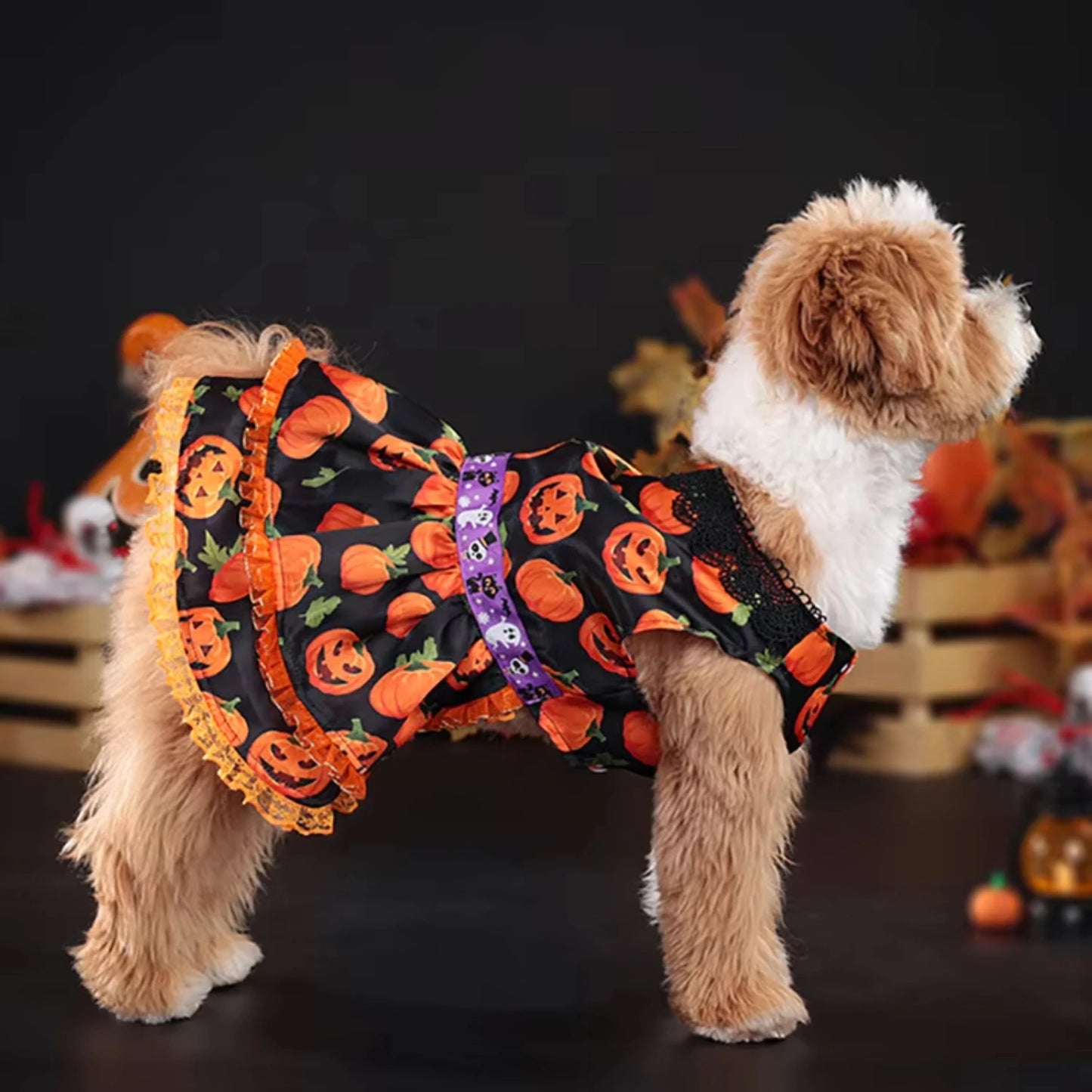 Halloween Pumpkin Skirt Dog Dress – Cute Festive Costume for Small Dogs