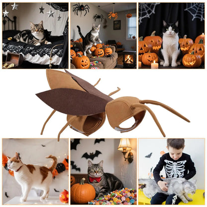 Cat Cockroach Costume Soft Cat Cockroach Clothing Realistic Breathable Clothing Accessories For Cosplay Outfit Kitten Dog
