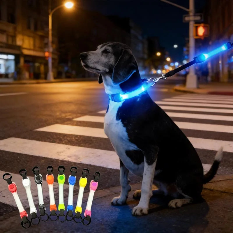 I YAN water-resistant dog safety collar with colorful pendants and LED light strip for night visibility and outdoor walks