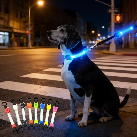 I YAN water-resistant dog safety collar with colorful pendants and LED light strip for night visibility and outdoor walks