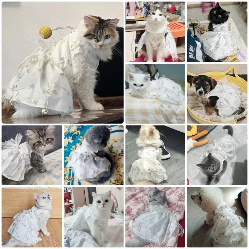 Dog Summer Dress for Small Dog Clothes Fashion Print Puppy Princess Skirt Sweet Bow Cat Dress Pet Costumes Chihuahua Dog Clothes