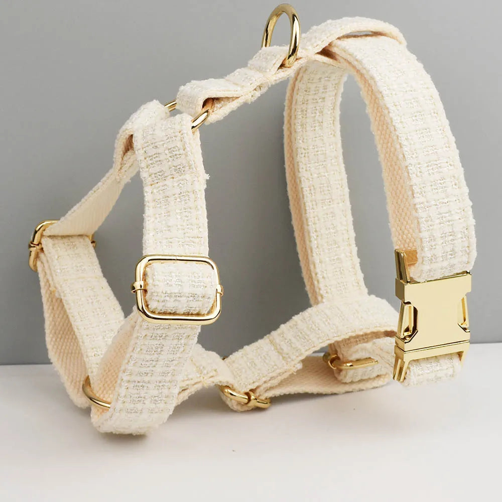 Custom Engraved Nameplate Dog Collar Leash Harness Set Personalized Pet Accessories for Dogs