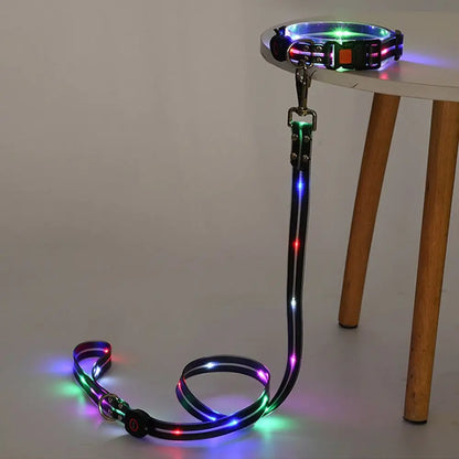Rechargeable LED dog collar and leash set by I YAN with glow-in-the-dark safety features, shown with illuminated collar and leash.