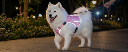 Pink dog cooling vest harness with 4 ice packs, providing over 180 minutes of cooling for large dogs by I YAN.