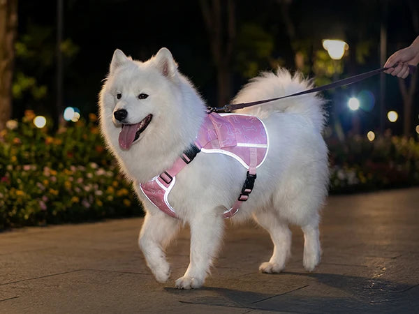 Pink I YAN dog cooling vest harness with four ice packs, designed for large dogs, providing over 180 minutes of cooling.