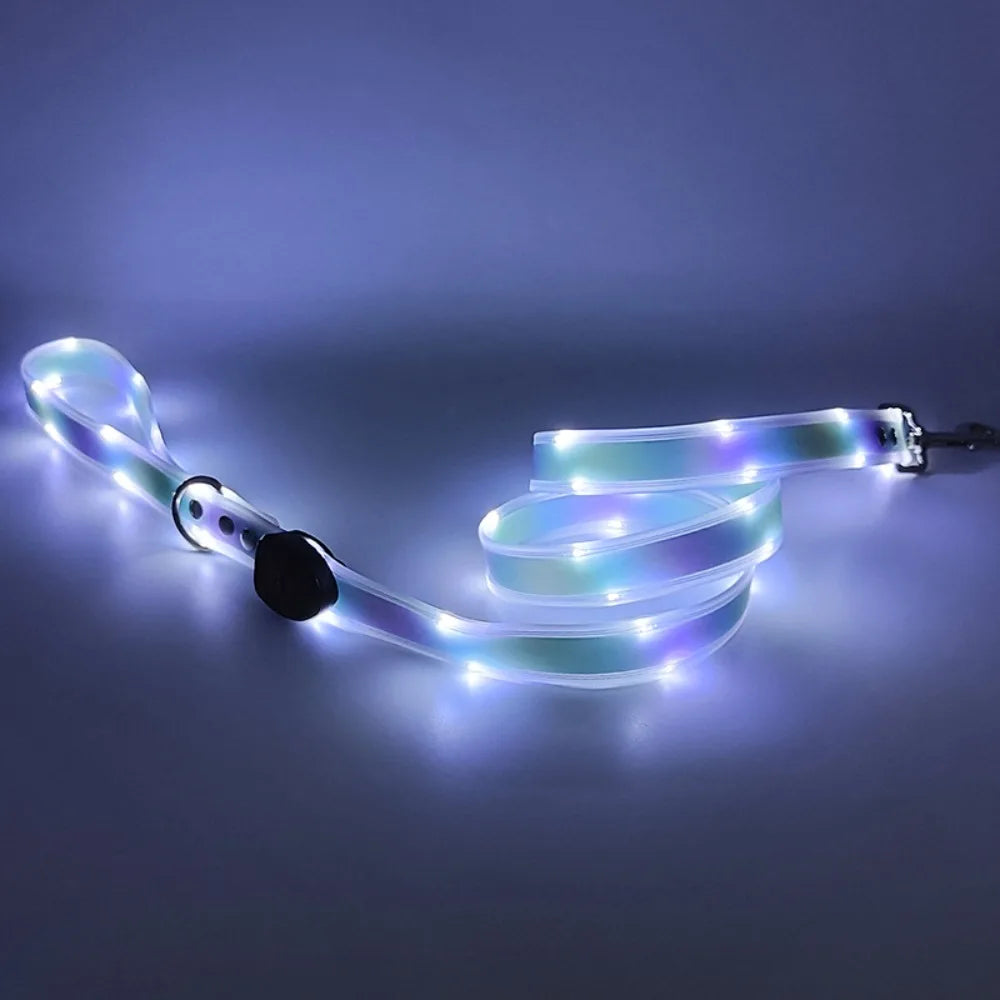 Rechargeable LED dog collar and leash set by I YAN, glow-in-the-dark safety features, adjustable straps, and durable material.