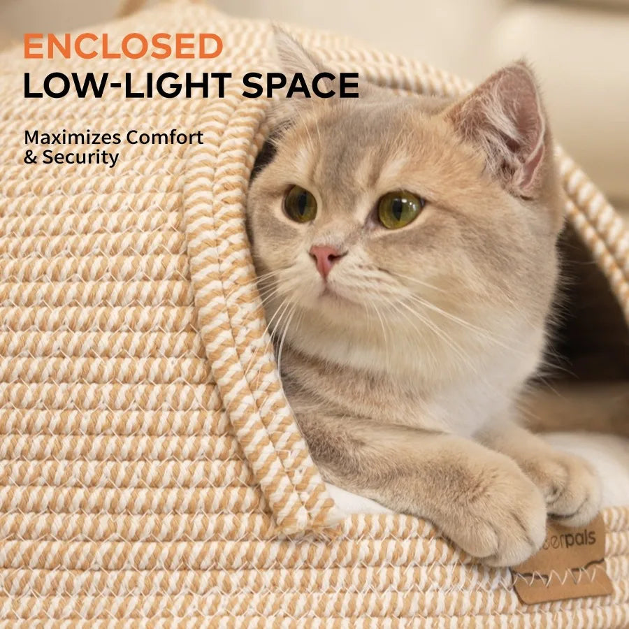 Cat Cave Bed with Cushion, 21*21in All-Season Large Cats House Tent with Toy Ball for Indoor