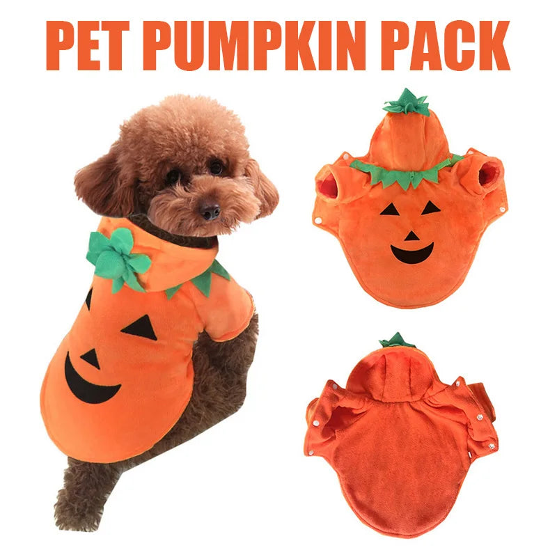 Pet Clothing, Pumpkin, Funny Clothing,  Cute Halloween Clothing, Dog Clothing