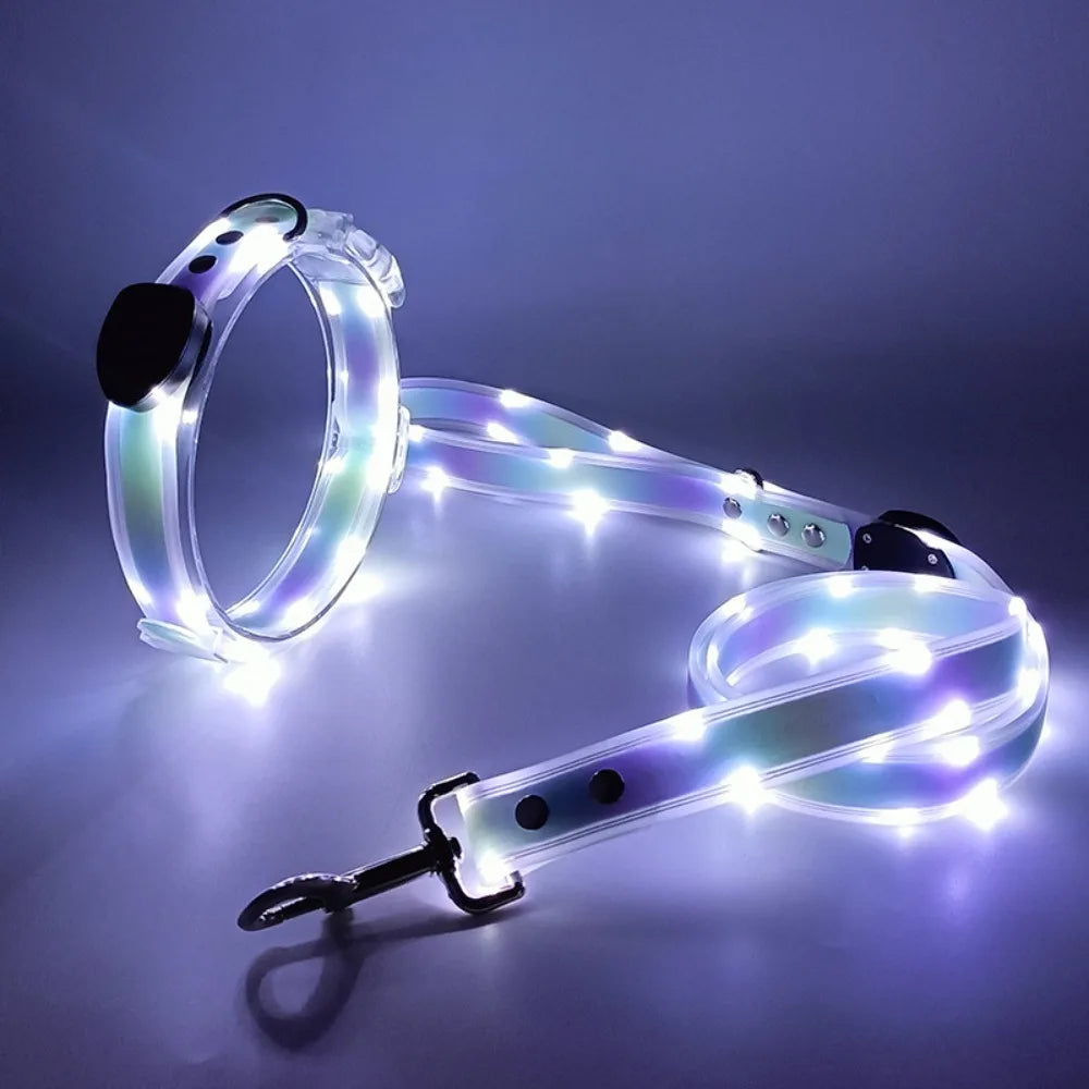 Rechargeable LED dog collar and leash set by I YAN, glow-in-the-dark safety features, adjustable straps, and bright illumination.