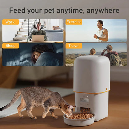 Automatic Pet Feeder – Timed Food Dispenser with Voice Recorder & Stainless Steel Bowl