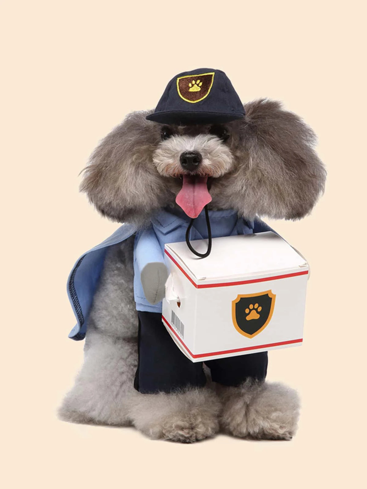 Cute I YAN pet dog transformation costume in seasonal universal clothing, designed for small dogs, featuring a fashionable and adorable style.