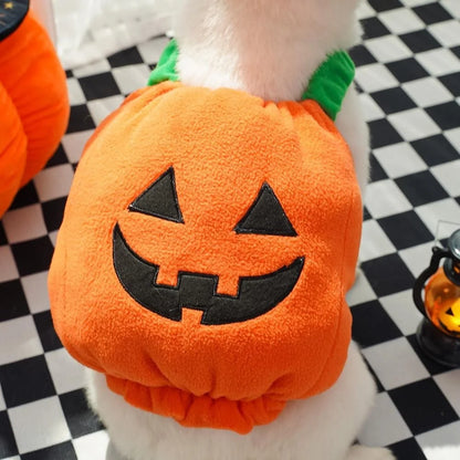 Halloween Dog Costume Pumpkin Light Clothing Teddy Bichon Small Dog Transformation Suit Pet Apparel Functional Winter Wear