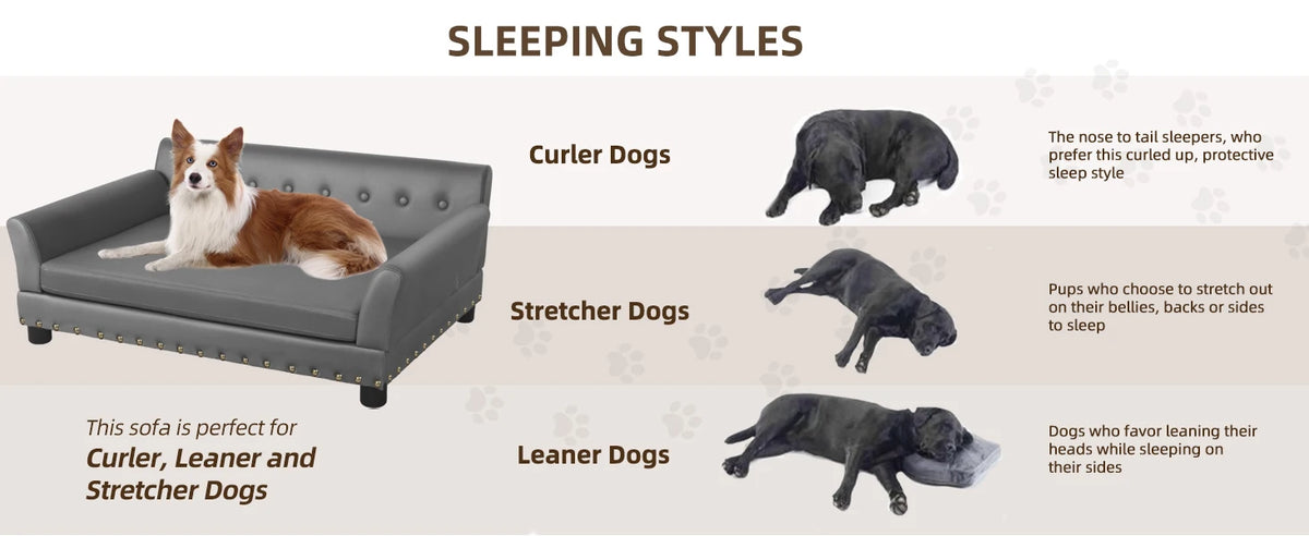I YAN BINGOPAW rectangular dog bed for medium and large dogs, elevated sofa-style pet bed with modern design and comfortable cushioning