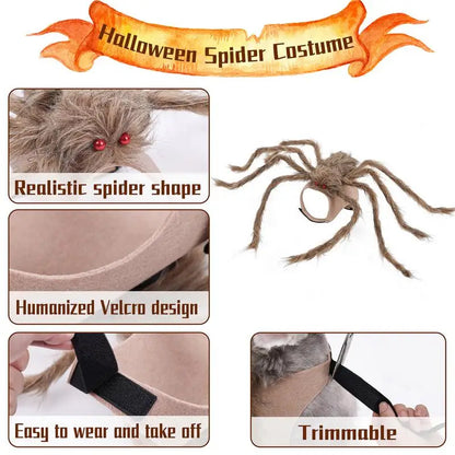 Halloween Spider Costume for Dogs & Cats – Funny Striped Pet Outfit