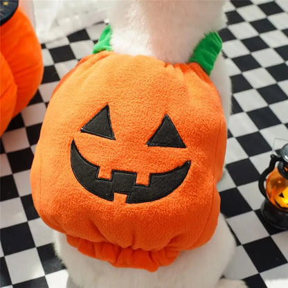 Halloween Dog Costume Pumpkin Light Clothing Teddy Bichon Small Dog Transformation Suit Pet Apparel Functional Winter Wear