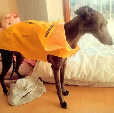 Yellow waterproof dog raincoat hoodie with reflective stripe, suitable for all sizes and big puppies, by I YAN.