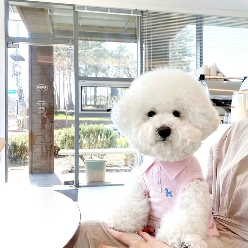 New Pet Dog Polo Shirt Dog Cool Clothes Soft Breathable Yorkie Chihuahua Puppy Clothes Dog Vest for Small Medium Dogs Costumes