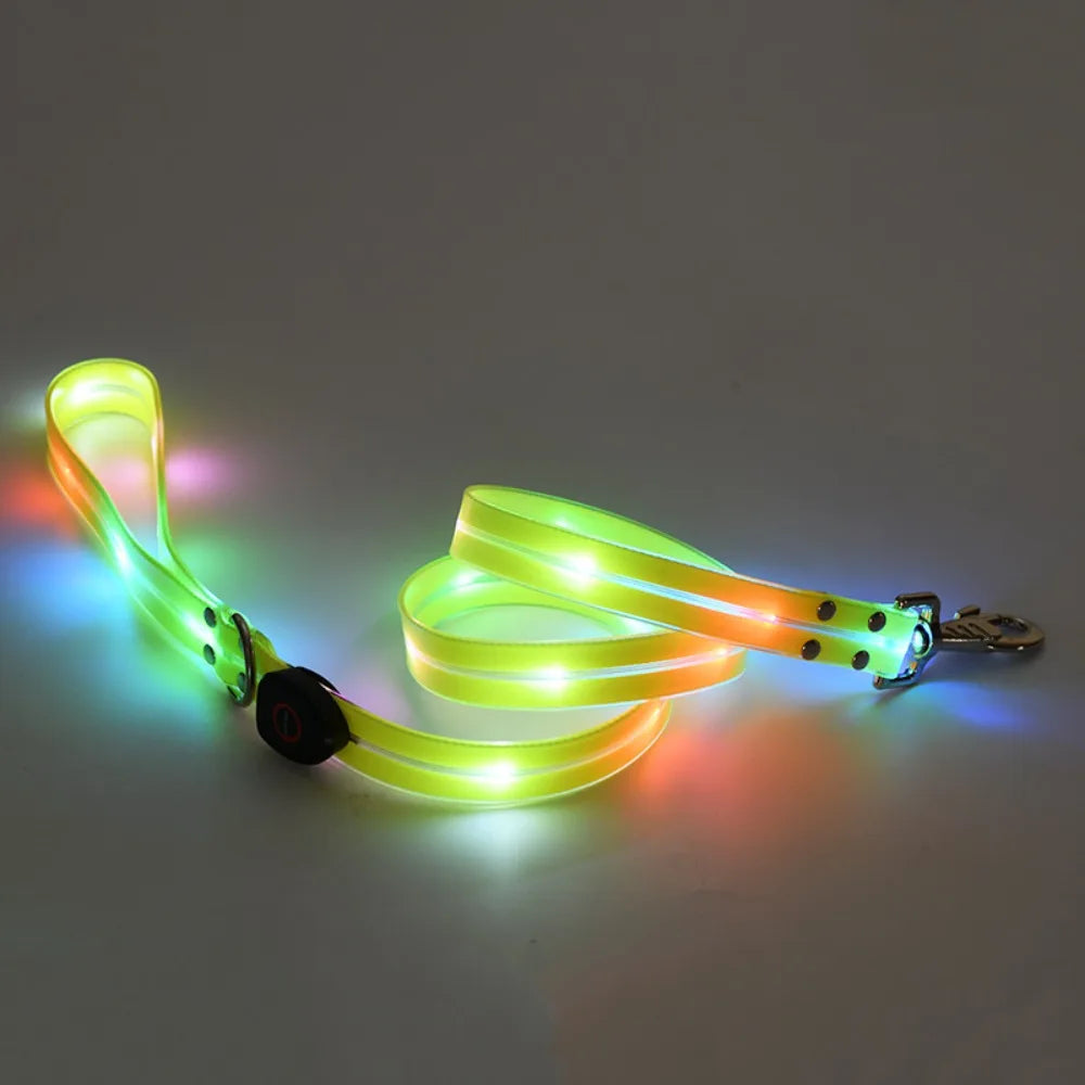 Rechargeable LED dog collar and leash set by I YAN with glow-in-the-dark safety features, visible in the image.