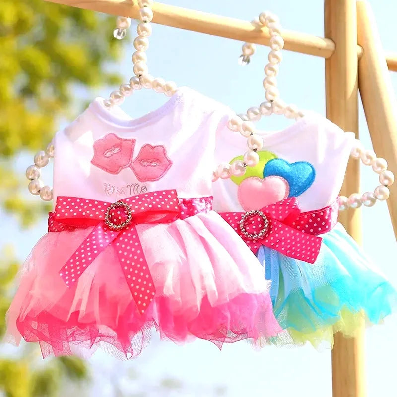 Small dog wearing I YAN spring lace dress, pet costume for birthdays, parties, and weddings, perfect for puppies and small dogs.