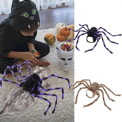 Halloween Spider Costume for Dogs & Cats – Funny Striped Pet Outfit