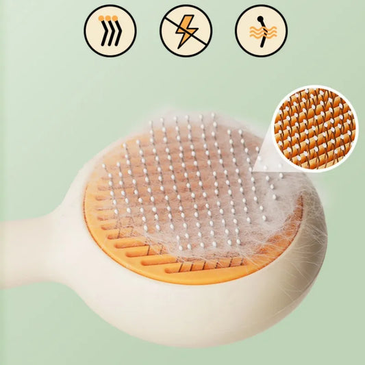 I YAN self-cleaning cat brush and pet hair remover showing the brush with removable hair collection tray and ergonomic handle.