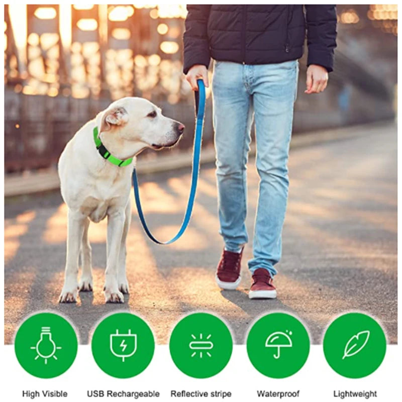USB rechargeable LED glowing dog collar by I YAN, night safety light for small dogs and cats, with bright, adjustable illumination.