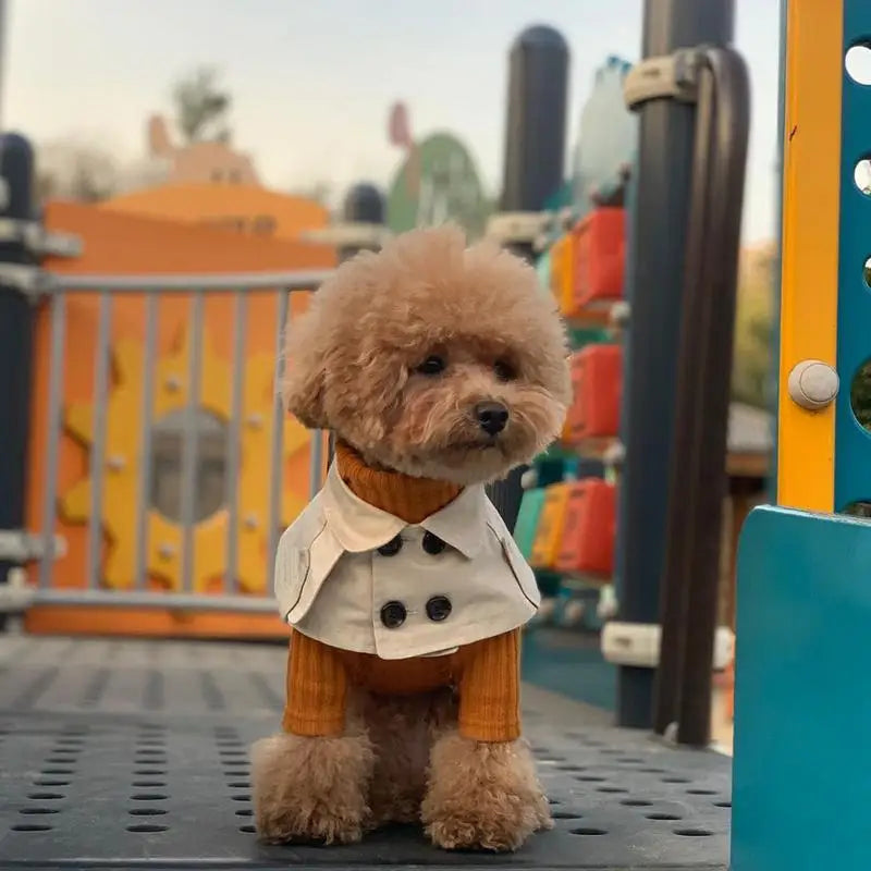 Fashion British style windbreaker cloak for small dogs, featuring a trench coat design with a pet bib and cape by I YAN.