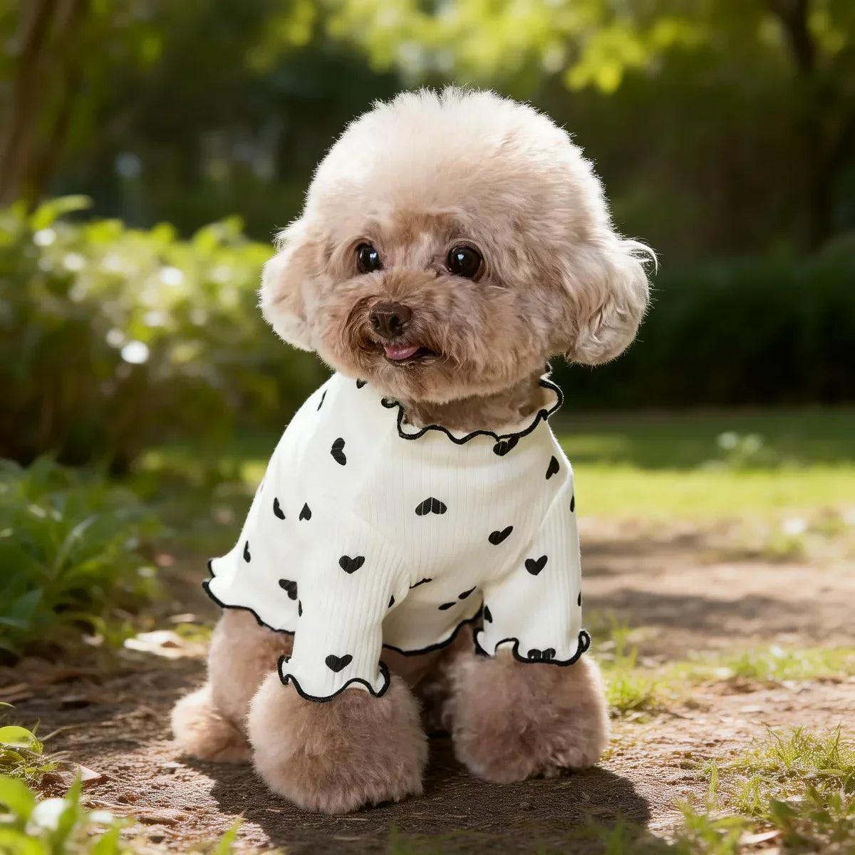 I YAN Pet T-shirt for dogs and cats with stretch ribbed heart pattern, cute and comfortable home vest clothing.