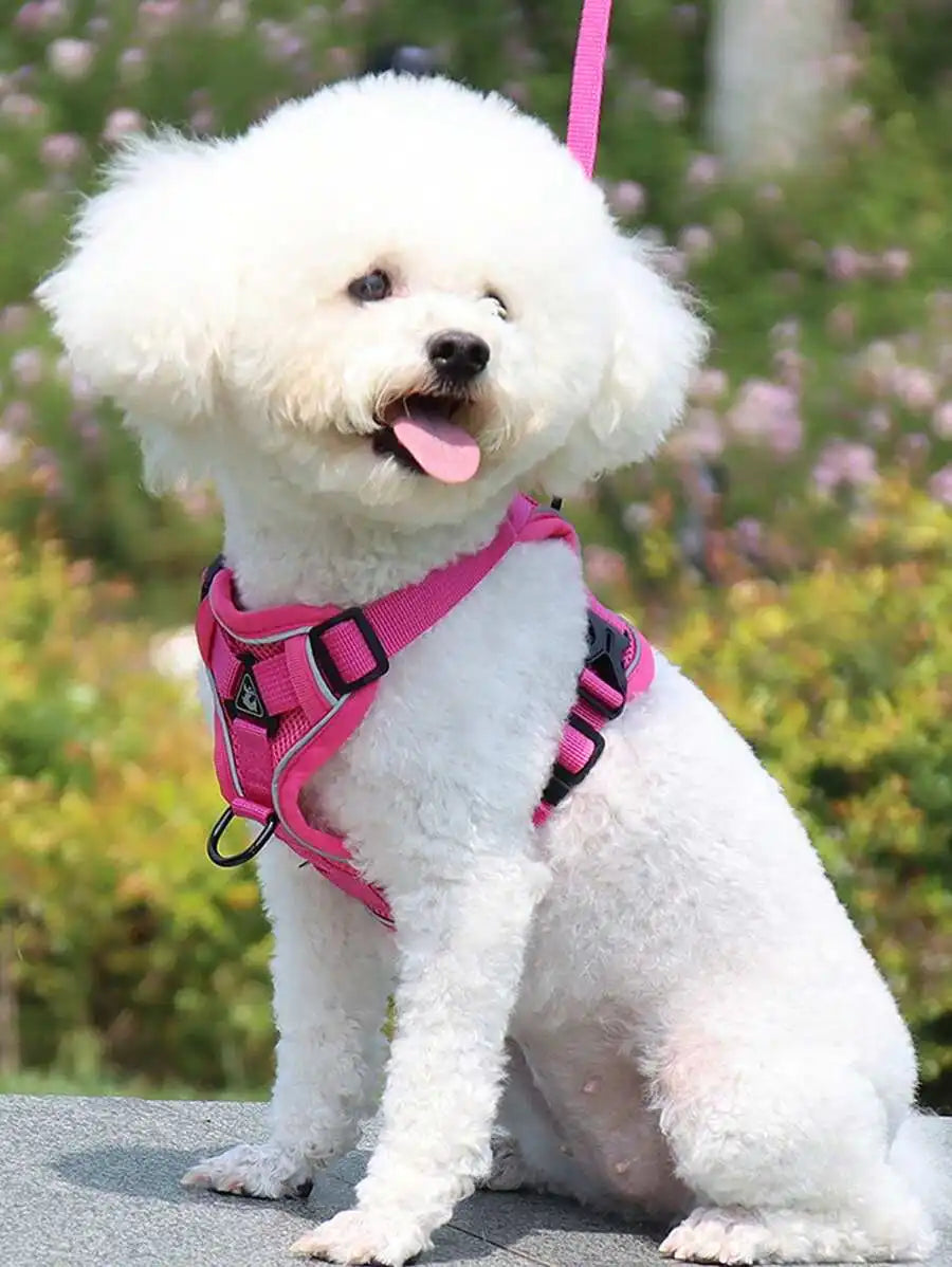 Reflective pet harness and leash set for dogs and cats, adjustable soft mesh chest strap, escape-proof design by I YAN.