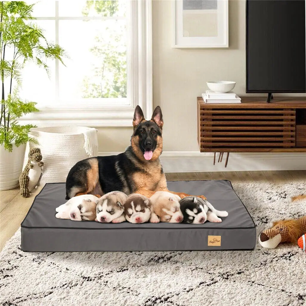 I YAN jumbo dog bed with orthopedic memory foam base, washable waterproof cover, suitable for large pets and crate comfort.