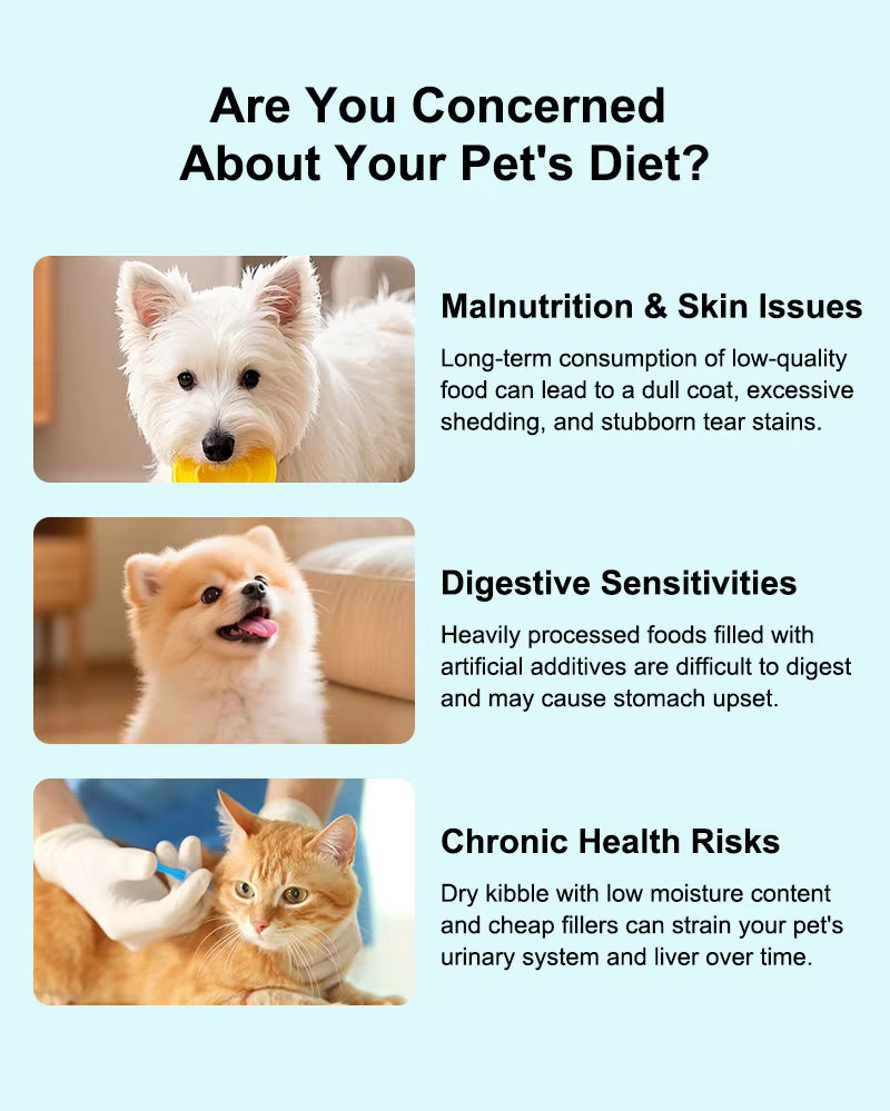 All-in-One Pet Food Steamer & Blender for Dogs and Cats